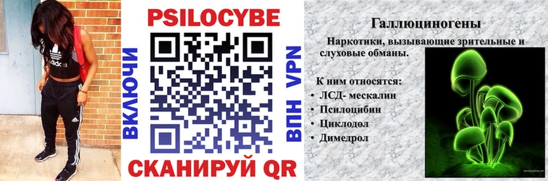Псилоцибиновые грибы MAGIC MUSHROOMS как найти закладки площадка Telegram Коломна