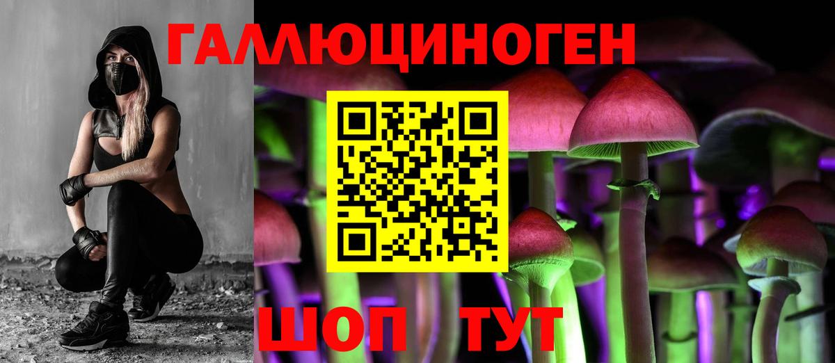 Коломна  Псилоцибиновые грибы MAGIC MUSHROOMS  Вход с VPN 